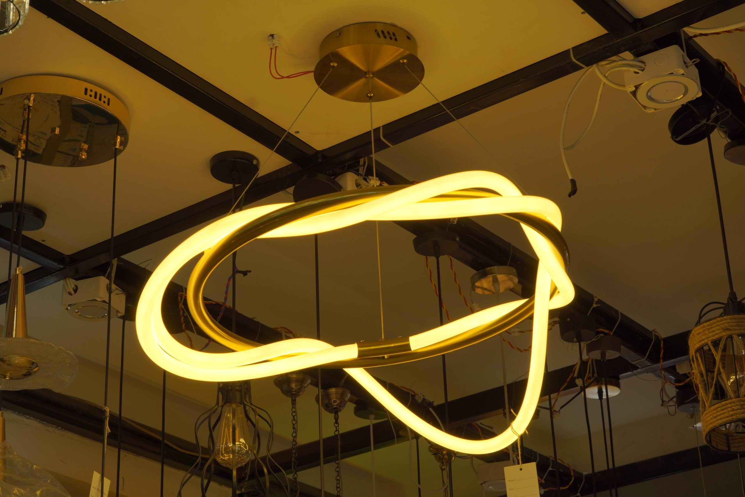 CIRCLES WITH VL - Image 2